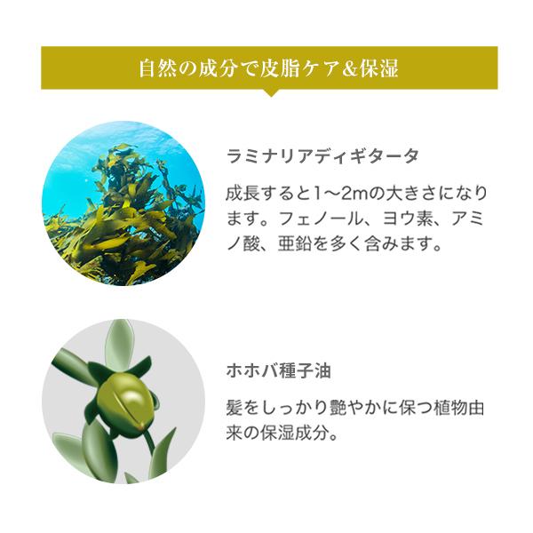 La Sana（ラサーナ） 海藻 海泥 シャンプー 375ml らさーな シャンプー