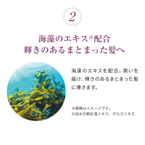 ラサーナ 海藻 海泥 ヘアマスク 160g　ヘアケア　ダメージケア　しっとり　トリートメント　ヘアパック　さらさら　集中補修　高浸透｜lasana｜09