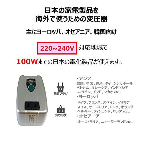 カシムラ 海外用変圧器 220-240V/100VA NTI-1002｜lasantalease｜02