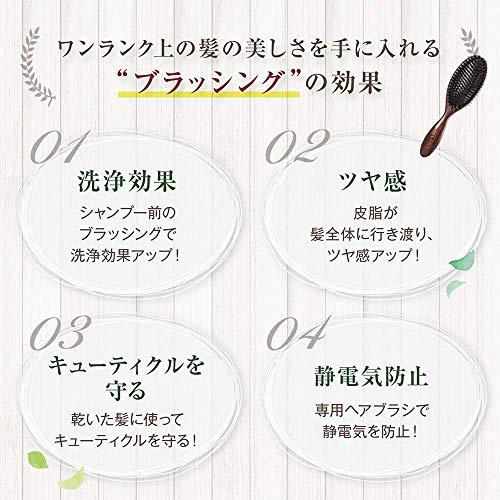 La CASTA (ラ・カスタ) ヘッドスパブラシ 頭皮マッサージ 静電気防止 ヘアブラシ ヘアケア ( 普段使い から ギフト用 にも