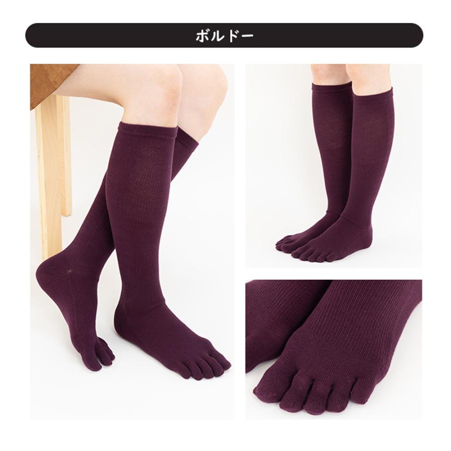 5本指 22-24cm 24-26cm 26-28cm 段階着圧設計 ハイソックス 薄手 8810