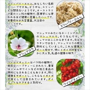 じゃばら 柑橘 花粉症 サプリ 花粉対策 ナリルチン 大容量 半年分 healthylife じゃばらガード タブレット 大容量約6か月分 粒タイプ メール便 送料無料n031600｜lash-premium｜06