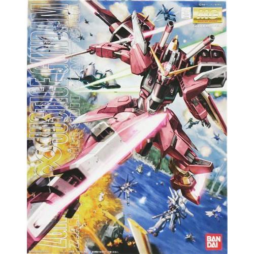 MG 機動戦士ガンダムSEED DESTINY ZGMF-X19A インフィニット