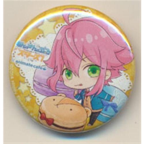 あんスタ アニメイトカフェ 缶バッジ 姫宮桃李 12 あんさんぶるスターズ×アニメイトカフェ トレーディング缶バッジ 姫宮