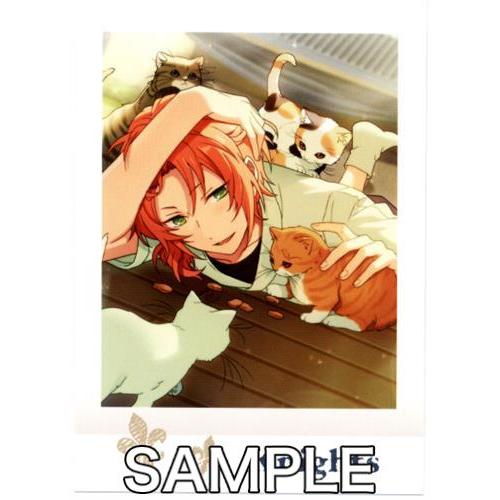 あんさんぶるスターズ！ぱしゃこれ IDOL SHOT Ver.3 BOX 5点 Amazon.co