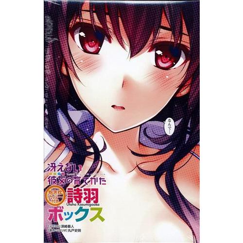 未開封冴えない彼女の育てかた 抱き枕カバー付 詩羽ボックス 冴えカノ 