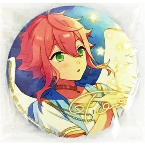 あんさんぶるスターズ！ あんスタ！バラエティ缶バッジ10th