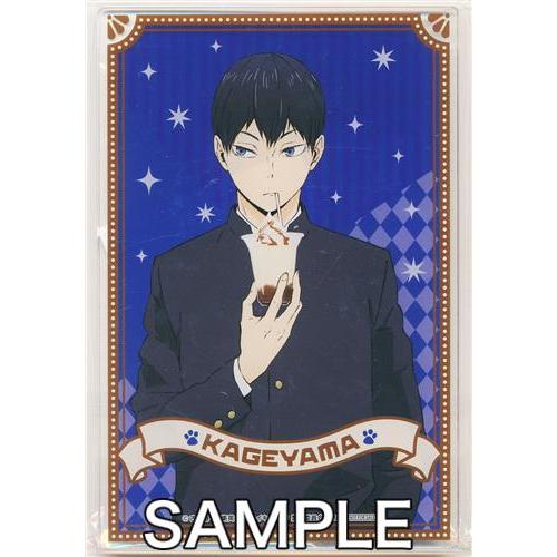 ハイキュー アクリルボード 影山飛雄 ハイキュー 遊びつくせ in  