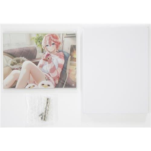 ホロライブ 活動1周年記念 2層アクリルパネル 鷹嶺ルイ : らしんばん