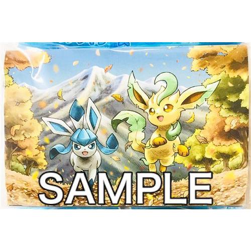 ポケットモンスター ポケモンカードゲーム ダブルデッキケース ポケットモンスター ポケモンカードゲーム ダブルデッキケース