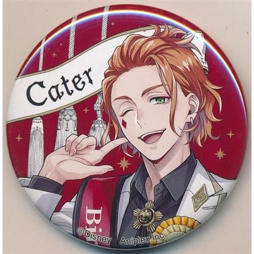ツイステ　ケイト　おめかし　缶バッジ　バースデー　ツイステッドワンダーランド Disney TWISTED-WONDERLAND 缶バッジコレクション(おめかしバースデー