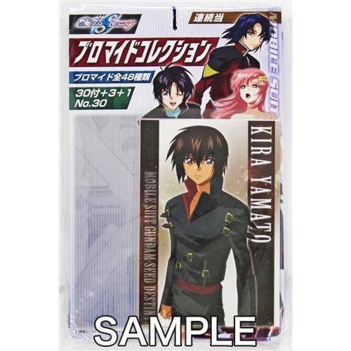 機動戦士ガンダムSEED DESTINY ブロマイドコレクション GUNDAM 