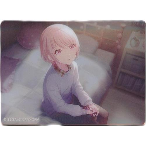 プロジェクトセカイ カラフルステージ ノーブルアートコレクション vol