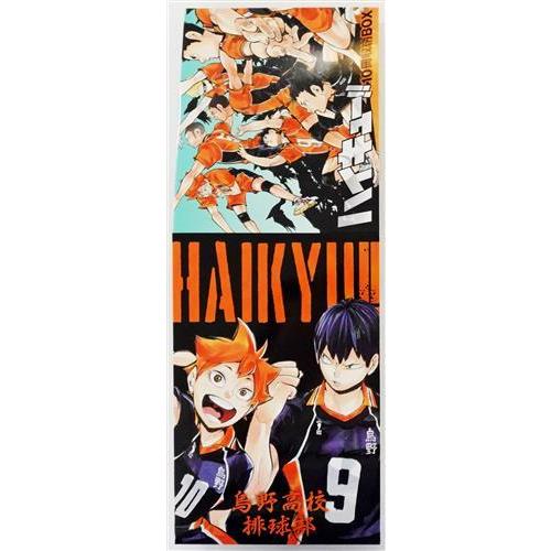 ハイキュー コミックス10冊収納BOX 烏野高校&稲荷崎高校 関連書籍同時 