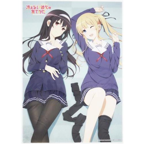 2026年最新】Yahoo!オークション -冴えない彼女の育てかた a3クリア