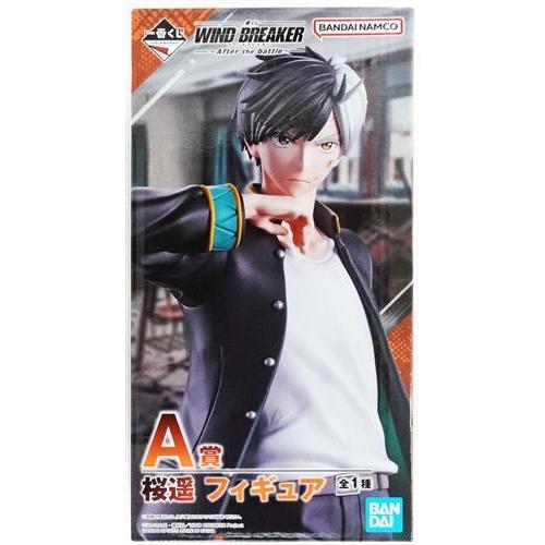 一番くじ WIND BREAKER ?After the battle? A賞(ダブルチャンス