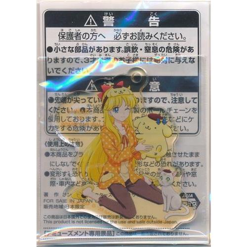 美少女戦士セーラームーンシリーズ×サンリオキャラクターズ アクリル