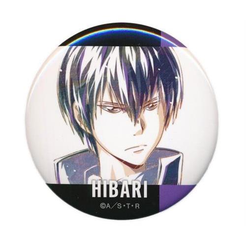 家庭教師ヒットマンREBORN トレーディング Ani-Art 第4弾 缶バッジ