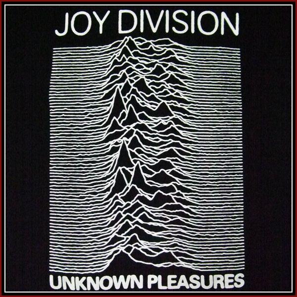 JOY DIVISION - BIG UNKNOWN PLEASURES / ジョイ