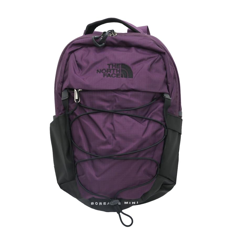THE NORTH FACE（ザ ノースフェイス） バックパック NF0A52SW BOREALIS