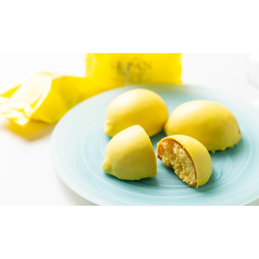 ル・パン神戸北野 洋菓子 スイーツ レモンケーキ 瀬戸内レモンケーキ6