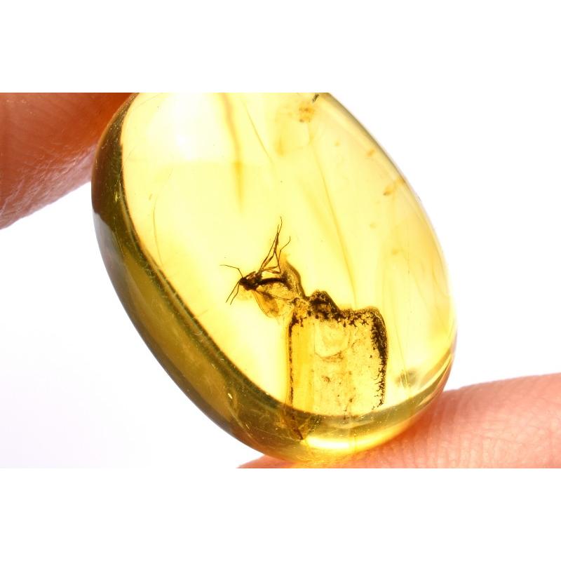 1点物】ロシア産◇レア 虫入り琥珀アンバー 20x14mm オーバル ルース 