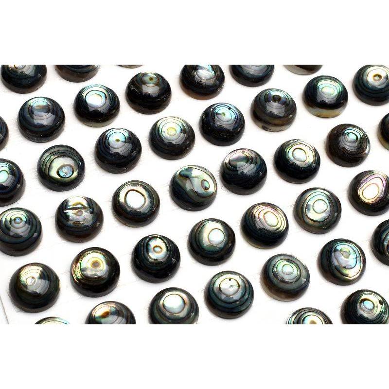 アバロンシェル(鮑) 8mm コイン 3粒セット ルース _T670 : ラトリエ 