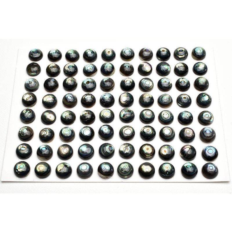アバロンシェル(鮑) 8mm コイン 3粒セット ルース _T670 : ラトリエ 