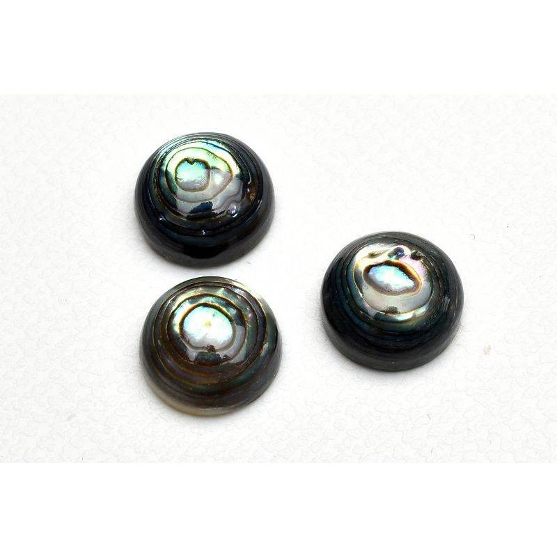 アバロンシェル(鮑) 8mm コイン 3粒セット ルース _T670 : ラトリエ 