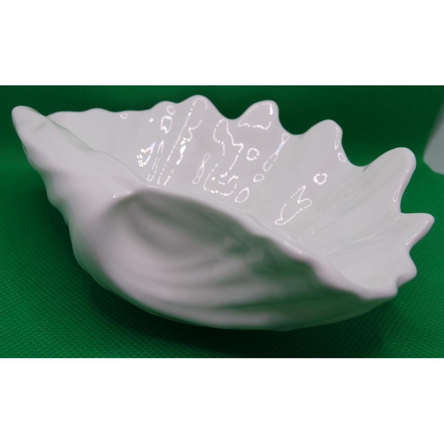 シェルプレート　WEDGWOOD(ウェッジウッド) Nautilus (ノーティラス)　廃番　ビンテージ |  | 01