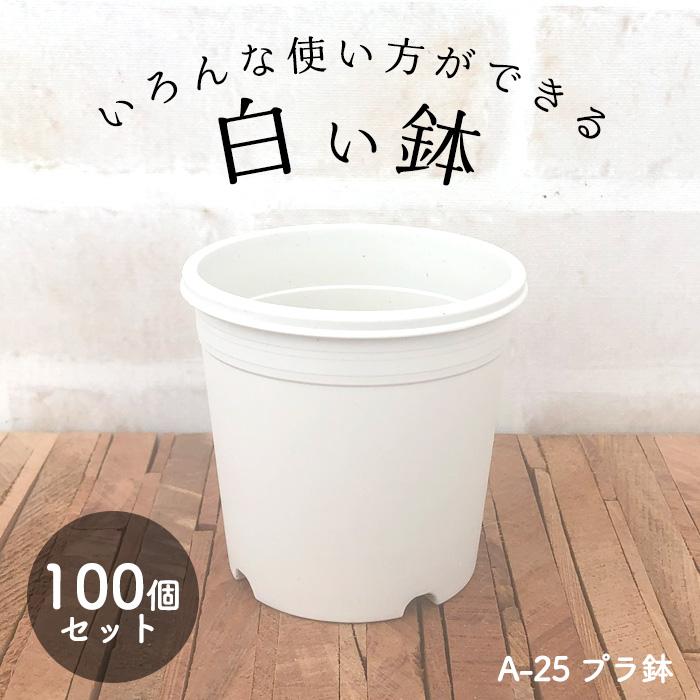 いろんな使い方ができる 白い鉢 A-25 2.5号鉢 100個セット 植木鉢 多肉
