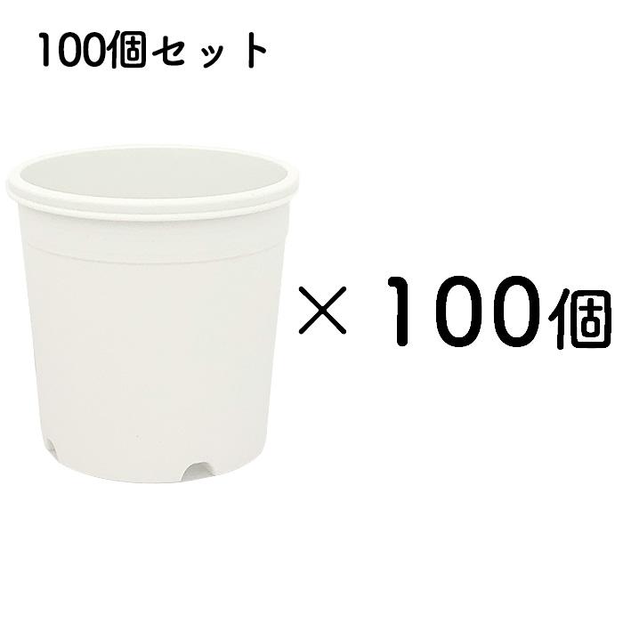 いろんな使い方ができる 白い鉢 A-25 2.5号鉢 100個セット 植木鉢 多肉