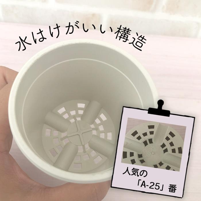 いろんな使い方ができる 白い鉢 A-25 2.5号鉢 500個セット 植木鉢 多肉