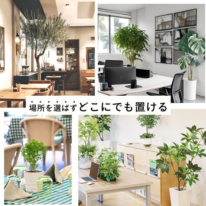 【メーカー直送】 フェイクグリーン アガベ ポット付き 94cm 中大型 高級 室内 人工観葉植物 屋外不可 acsの画像