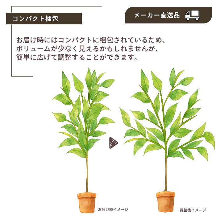 【メーカー直送】 フェイクグリーン パキラ ポット付き 150cm 中大型 高級 室内 人工観葉植物 送料無料 屋外不可 acsの画像