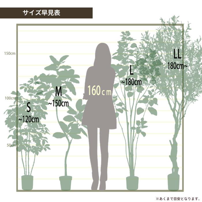 【メーカー直送】 フェイクグリーン パキラ ポット付き 150cm 中大型 高級 室内 人工観葉植物 送料無料 屋外不可 acsの画像