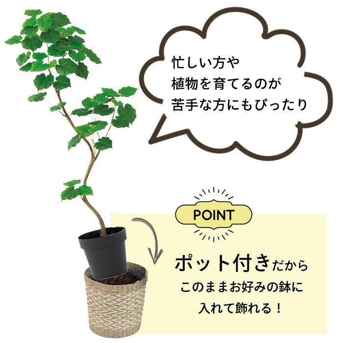 【メーカー直送】 フェイクグリーン パキラ ポット付き 150cm 中大型 高級 室内 人工観葉植物 送料無料 屋外不可 acsの画像