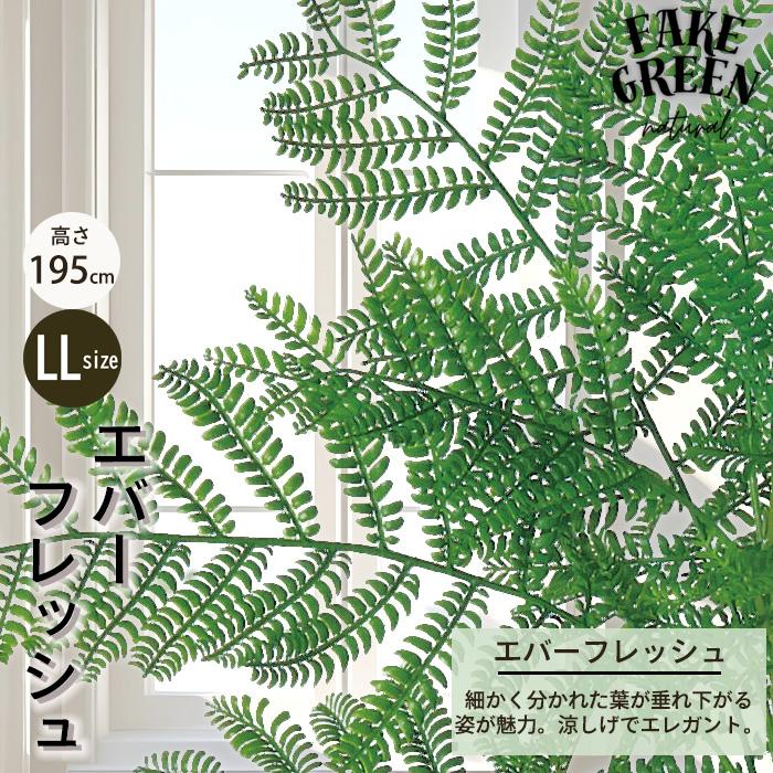 【メーカー直送】 フェイクグリーン エバーフレッシュ ポット付き 195cm 大型 高級 室内 人工観葉植物 屋外不可 acsの画像