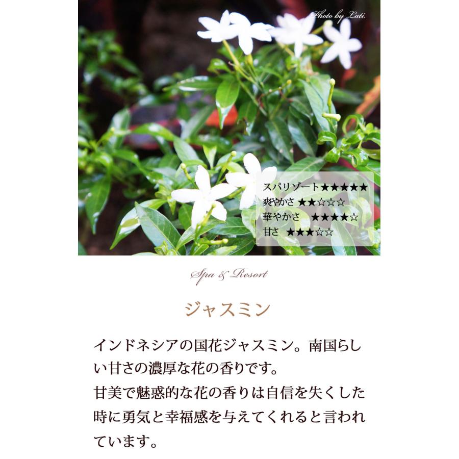 南国のお花のルームスプレー 100ml トコパラス フランジパニ ジャスミン プルメリア フラワーオブバリ Tokoparas003sp ラティ バリ雑貨 アジアン雑貨 通販 Yahoo ショッピング