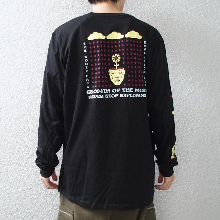 THE NORTH FACE ノースフェイス Tシャツ 長袖 ロンT 袖ロゴ バック 