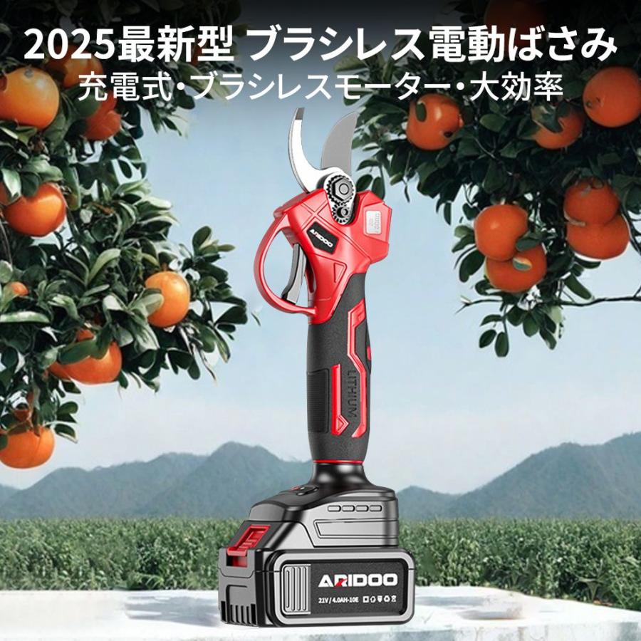 剪定ばさみ 電動 高枝切りバサミ 充電式 切断直径50mm 2m延長ポール