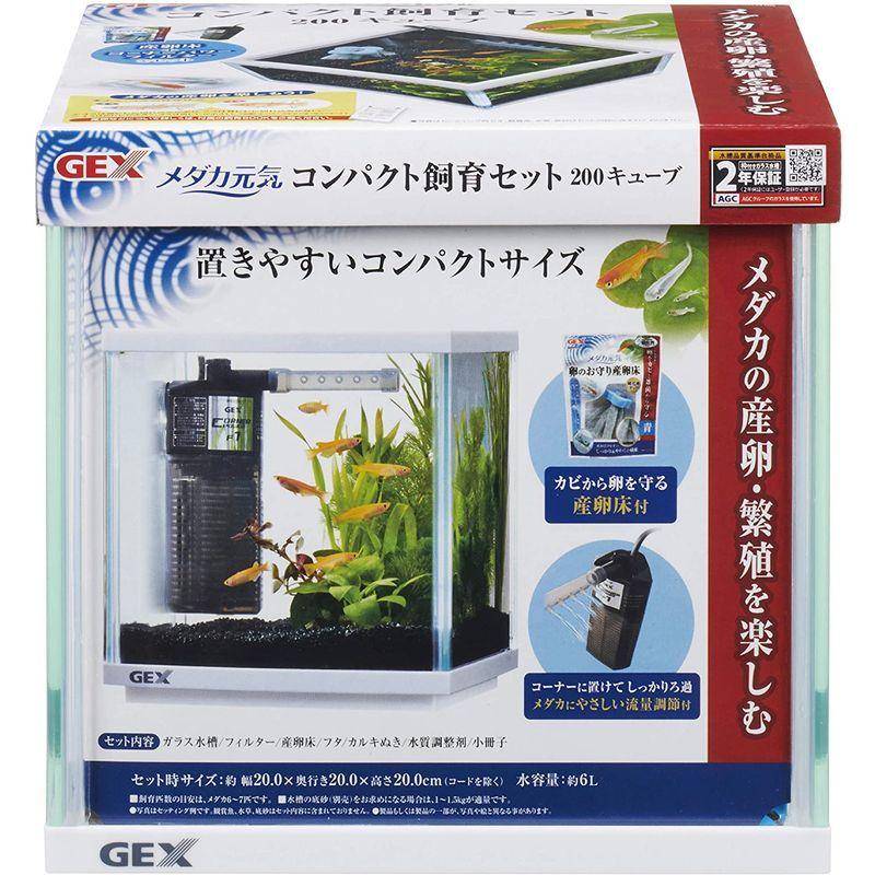 本店は ジェックス メダカ元気 コンパクト飼育セット0キューブ メダカにやさしい水流調節付きフィルター付 Pontegiorgi It