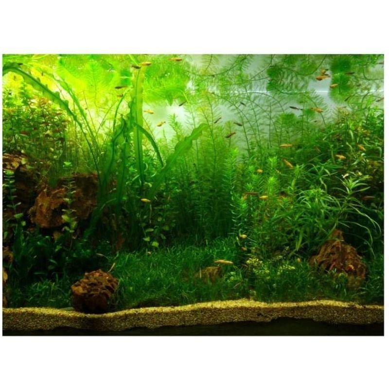 1086円 配送員設置送料無料 粘着式 水槽 水族館 魚タンク バックグラウンド 装飾 背景 水草スタイル バックスクリーン 生息地の装飾 水族館ポスター 91 41cm