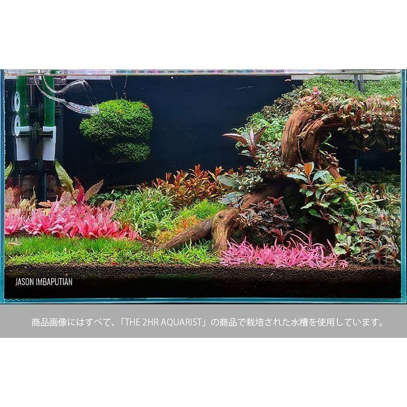 The 2hr Aquarist 水草 肥料 栄養剤 液体肥料 コンプリート Complete 正規代理店 アクアリウム 水槽 液肥 003 Lau 通販 Yahoo ショッピング