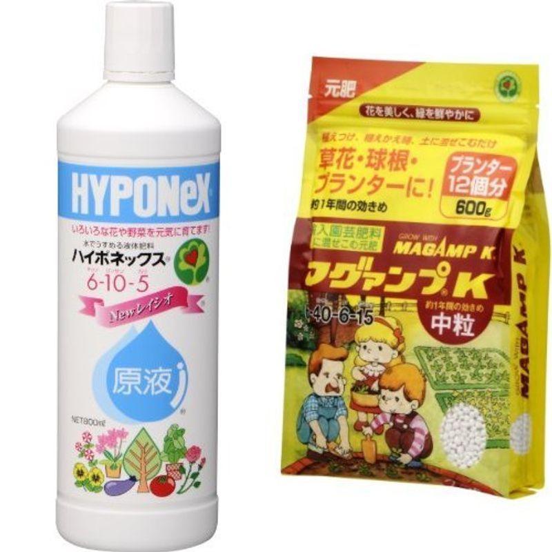 豪華ラッピング無料 ハイポネックス 原液 800ｍｌ マグァンプk 中粒 600ｇセット Megjc Gov Jm