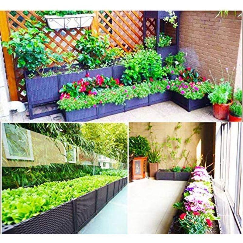 BAOYOUNI 組み立て簡単ガーデンボックス プランターボックスプラスチック鉢植え入れ花 植物 栽培ブラウン 鉢用品 大型プランター 莱園 組み立て簡単ガーデンボックス プランターボックスプラスチック鉢植え入れ花 植物 栽培ブラウン 鉢用品 大型プランター 莱園