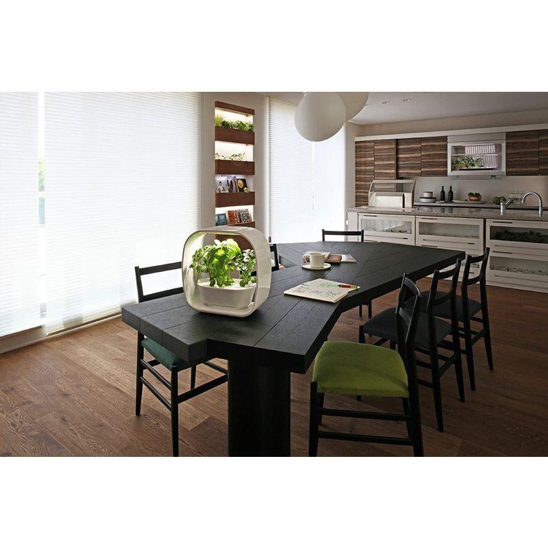 【最終】 LED照明付水耕栽培キット VEGUNI(ベジユニ) 日本製 W336×D150×H336mm 【2207405737】(11807円)