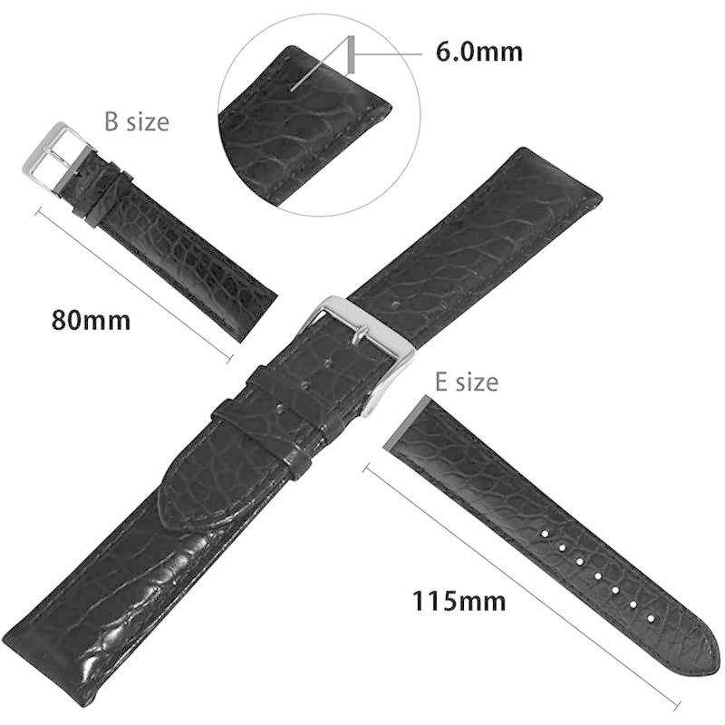 CASSISカシス カイマン(ワニ革) 時計ベルト WOLFSBURG ヴォルフスブルク 20mm ブラック 交換用工具付き U1108A6 ワニ革 カイマン 時計ベルト WOLFSBURG ヴォルフスブルク 20mm ブラック 交換用工具付き U1108A6