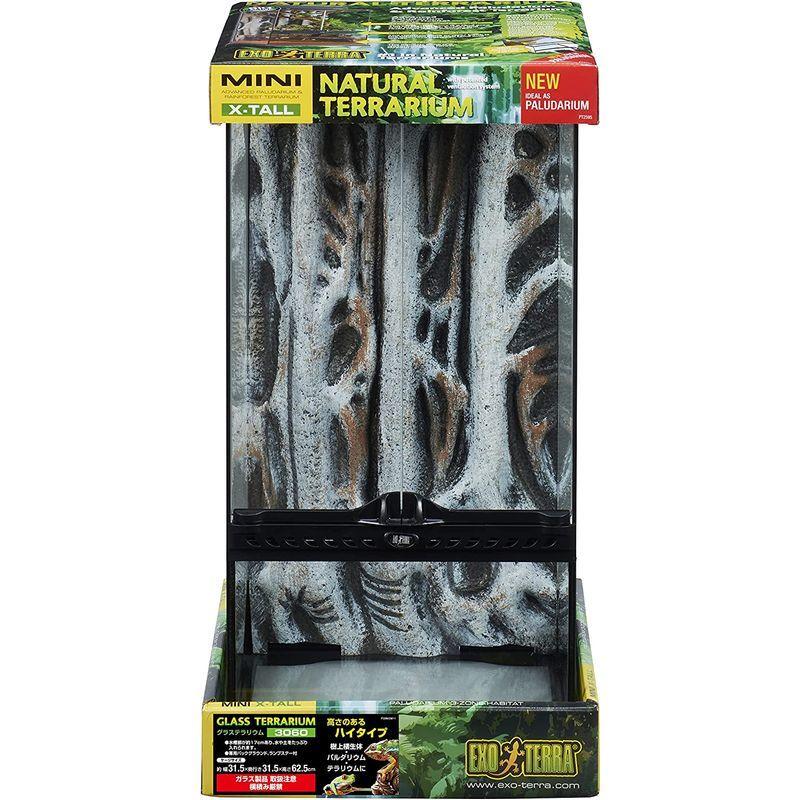 GEX EXOTERRA グラステラリウム3060 PT2595 両開きフロントドア 爬虫類飼育ケージ W31.5×D31.5×H62.5c EXOTERRA グラステラリウム3060 PT2595 両開きフロントドア 爬虫類飼育ケージ W31 5×D31 5×H62 5c