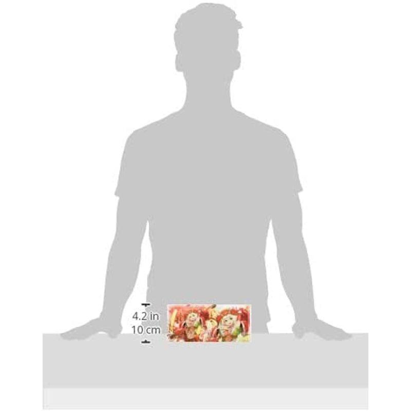 お1人様1点限り ブシロードストレイジボックスコレクション Vol 3 カードファイト アーシャ 夢紡ぐラナンキュラス ヴァンガード